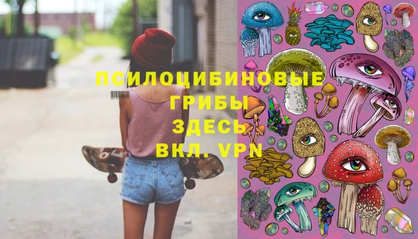 Альфа ПВП Корсаков