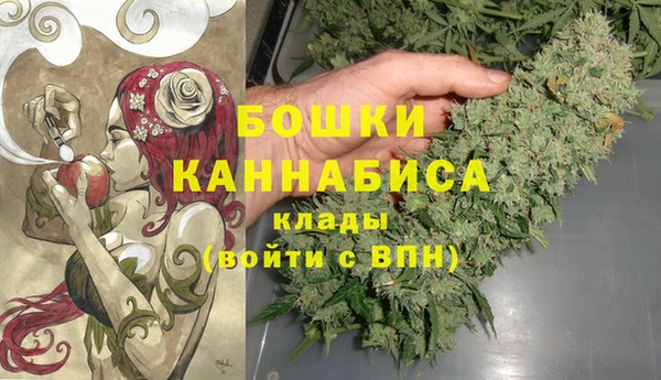 ALPHA PVP Костерёво